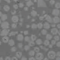 Sichuan Kunwei Langsheng Extrusión Intelligent Equipment Co., Ltd.